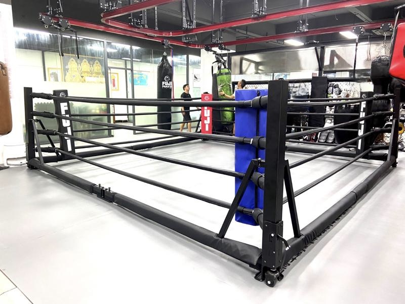 10 Benefits of Training with a Fuji Boxing Ring image